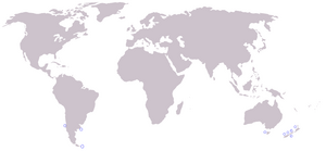 Cetacea range map Shepherd 27s Beaked Whale.png