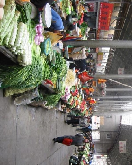 ملف:The farmer's market near the Potala in Lhasa.jpg