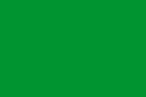 ملف:Fatimid flag.svg