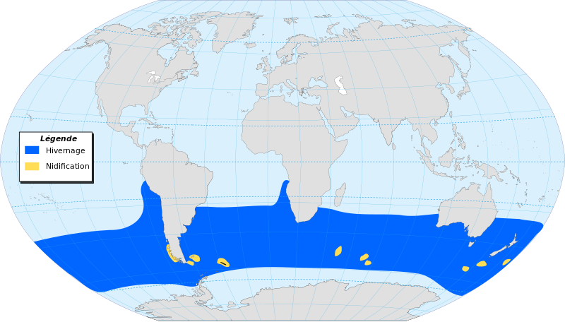 ملف:Black-browed Albatross-map-localisation-fr.svg