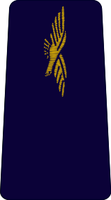 ملف:French Air Force-aviateur.svg