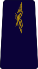French Air Force-aviateur.svg