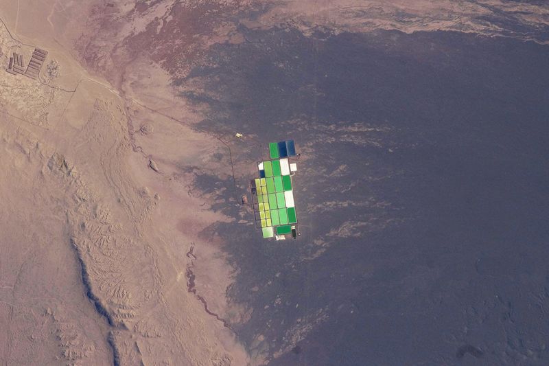 ملف:Solar Evaporation Ponds, Atacama Desert.jpg