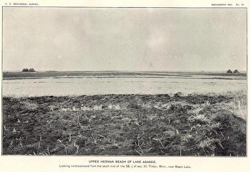 ملف:Herman Beach plate06.JPG