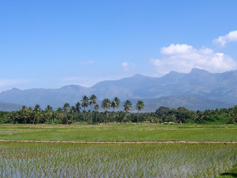 ملف:Tamil Nadu countryside.jpg