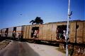 خط يعبر المسار في بنغويلا