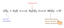 Equilibrium of carbonic acid in the oceans .png