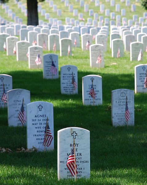 ملف:Graves at Arlington on Memorial Day.JPG