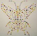 Aurora Butterfly of Peace in daylight 01.jpg