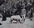 وحيد القرن في العام 1912