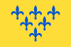 Flag of the Duchy of Parma.svg