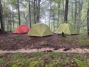 A group's tents set up on a campsite near Hot Springs, North Carolina, alongside the Appalachian Trail