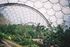 Eden project tropical biome.jpg