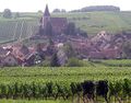 Hunawihr and Alsatian vineyards