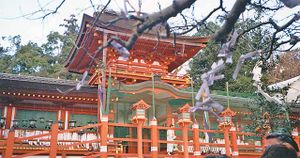 معبد كاسوگا تايشا في مدينة نارا باليابان - قائمة اليونسكو للتراث العالمي.