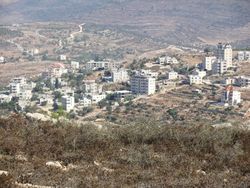 منظر لدورا القرع