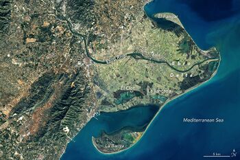 Ebro Delta from Landsat.jpg