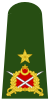 Turkey-army-OF-6.svg