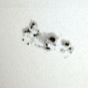 Photo of black spots surrounded by grey areas on mottled white surface.