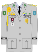Service uniform of the German Army (Heer)