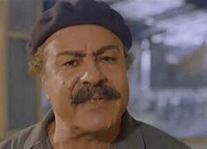 عبد الحفيظ التطاوي.jpg