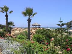 Alexandria - Montaza Palace garden.JPG