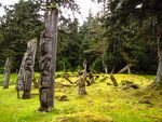 Wooden totem poles in a forest