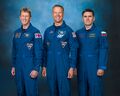 Soyuz TMA-19M official crew portrait.jpg