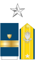 The collar star, shoulder boards, and sleeve stripes of a U.S. Coast Guard rear admiral (lower half)