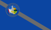 علم لاس ڤيگاس