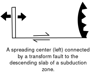 Spreading to Down NEW