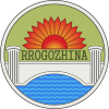 الشعار الرسمي لـ روگوژينا