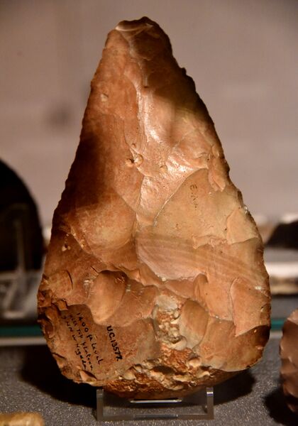 ملف:Acheulean hand-axe from Egypt. Found on a hill top plateau, 1400 feet above sea level, 9 miles NNW of the city of Naqada, Egypt. Paleolithic. The Petrie Museum of Egyptian Archaeology, London.jpg