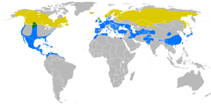 Falco columbarius distribution map.png