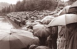 A black and white photograph of a terrace, on a rainy day, full of football fans with umbrellas.