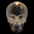 Human skull - animation 02.gif