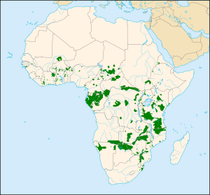 Map of African, showing a highlighted range (in green) with many fragmented patches scattered across the continent south of the Sahara Desert.