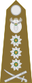 Lieutenant general[50] (الجيش الجنوب أفريقي)