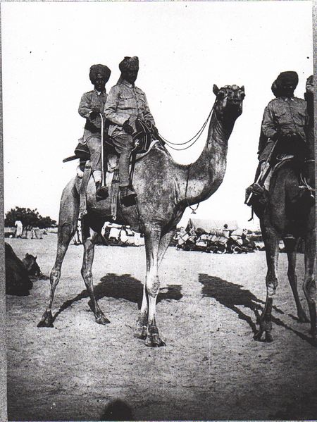 ملف:Bikaner Camel Corps, El Arish 1918 (IWM Q50888).jpeg