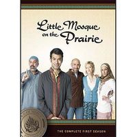 Little Mosque DVD.jpg