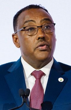 Demeke Mekonnen Hassen - 2020 (cropped).jpg
