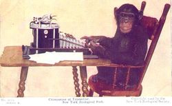 إذا أعطينا القرد وقتا كافيا للطباعة بشكل عشوائي فمن المؤكد تقريبا أن ينتج إحدى مسرحيات شكسبير أو أي نص آخر