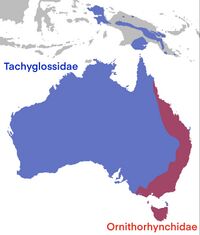 Australia and New Guinea