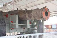 The Jaivana cannon