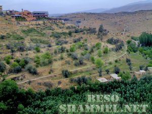 جديدة الوادي2.jpg