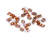 1hvg: STRUCTURAL AND ELECTROPHYSIOLOGICAL ANALYSIS OF ANNEXIN V MUTANTS. MUTAGENESIS OF HUMAN ANNEXIN V, AN IN VITRO VOLTAGE-GATED CALCIUM CHANNEL, PROVIDES INFORMATION ABOUT THE STRUCTURAL FEATURES OF THE ION PATHWAY, THE VOLTAGE SENSOR AND THE ION SELECTIVITY FILTER