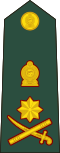 Sri Lanka Army general's shoulder rank badge.