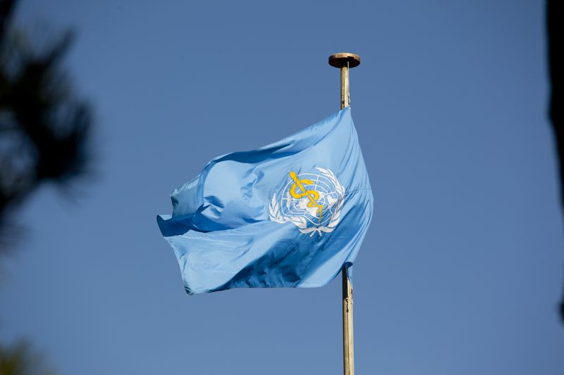 ملف:World Health Organization Flag.jpg