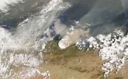Algeria wildfires.jpg