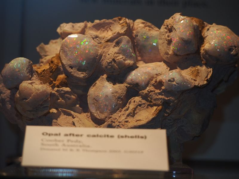 ملف:Coober Pedy opal at the SAM 1.JPG